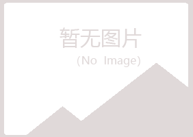 上海宝山忆伤机械有限公司